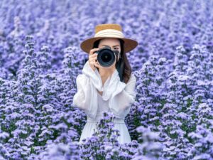Tourist Take Photo With Digital Camera Margaret Flowers Fields 300x225