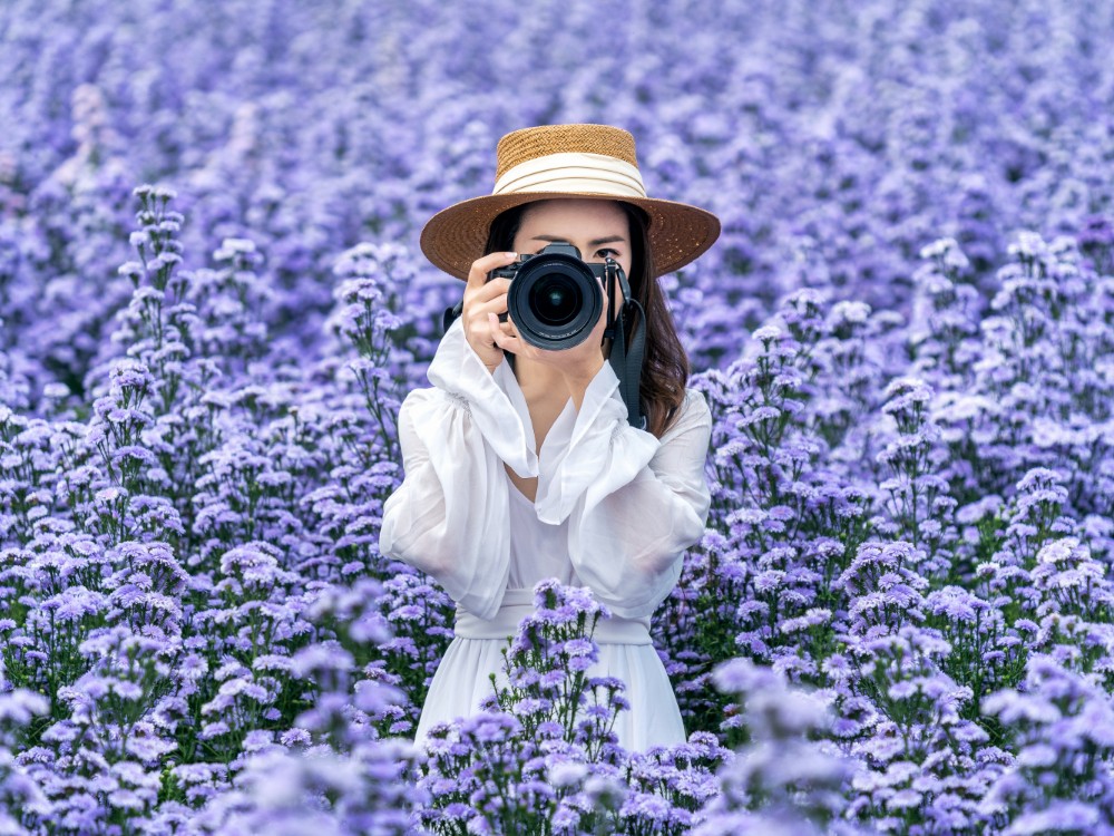 Tourist Take Photo With Digital Camera Margaret Flowers Fields