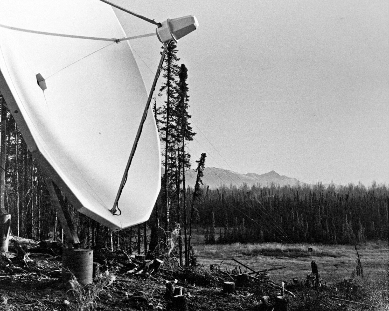 Large satellite dish in a forest clearing
